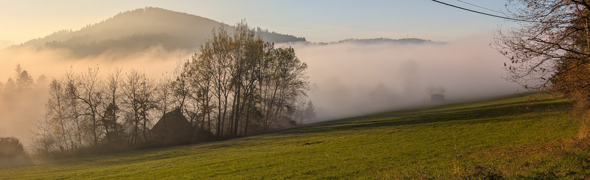 Fotogalerie banner photo